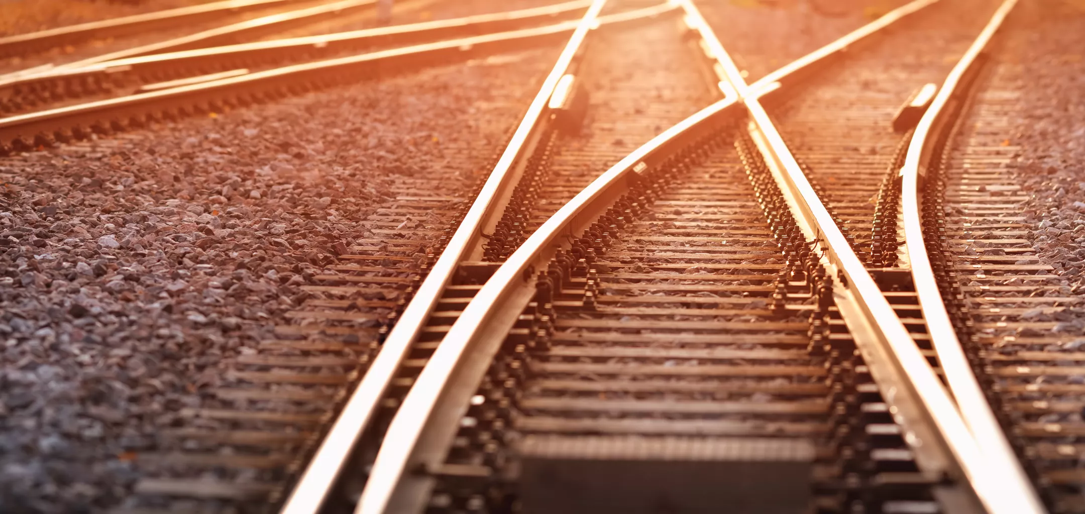 Multiple railroad tracks converge and split at a junction, symbolizing decision points or changing directions. The scene is bathed in warm sunlight, with gravel between the rails and autumn-colored plants growing along the sides.