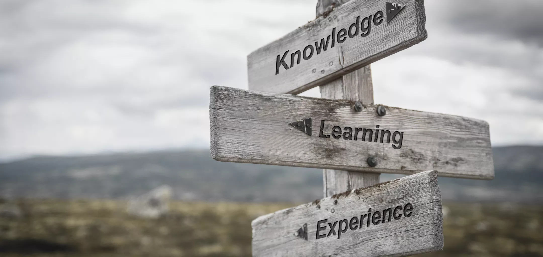 A weathered wooden signpost outdoors with three directional boards pointing in different directions, labeled “Knowledge,” “Learning,” and “Experience,” against a cloudy sky and blurred mountain landscape.