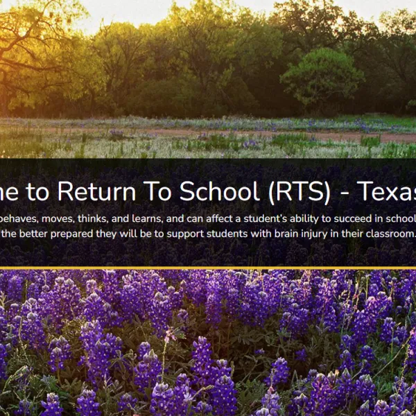 website banner